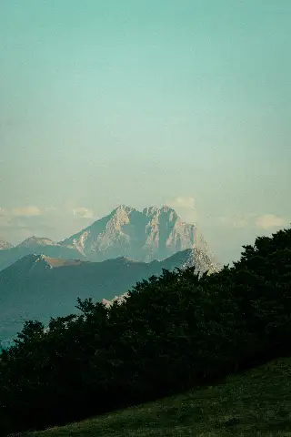 _MG_6155
